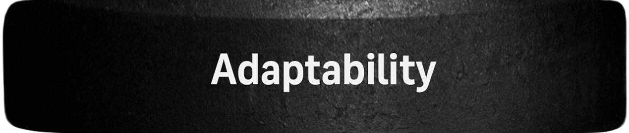 Adaptability